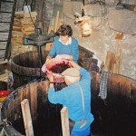 La cuverie de M. et Mme Guignon (entretien de 1997)
